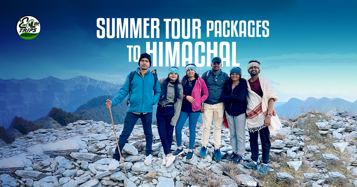 Summer trip packages